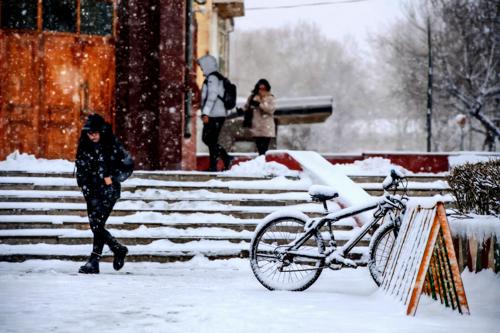 НИЙСЛЭЛД -5 ХЭМ БАЙНА