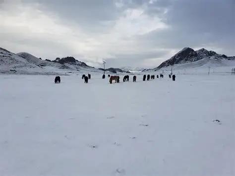 Энэ сарын 22-ныг хүртэл ихэнх нутгаар цаг агаар тогтуун, хүйтний эрч өдөртөө суларна