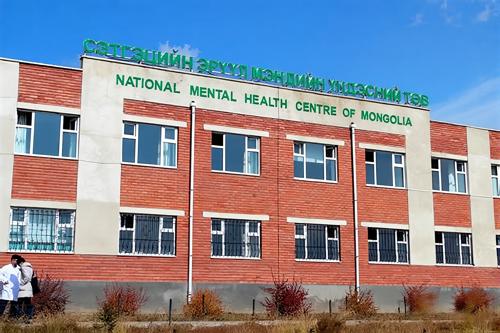 Хүнийг эмчлэх гээд хүлж номхтгож буйг НҮБ эрүүдэн шүүлт гэж үзжээ