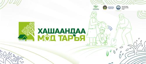 Хашаандаа мод тарьцгаая