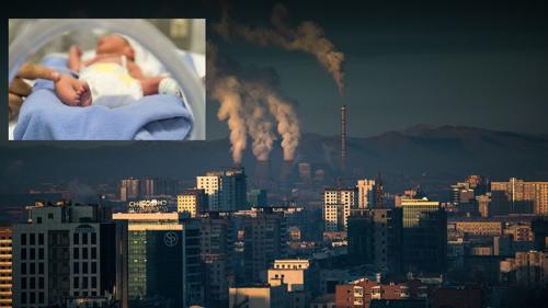 Агаарын бохирдлоос болж жилд нэг сая нярай амьгүй төрж байгааг тогтоожээ