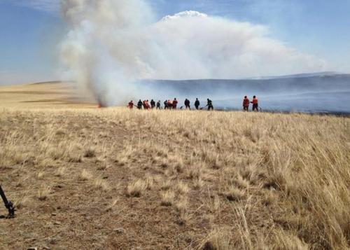 Дорнод аймгийн Халхгол суманд гарсан хээрийн түймрийг бүрэн унтраажээ