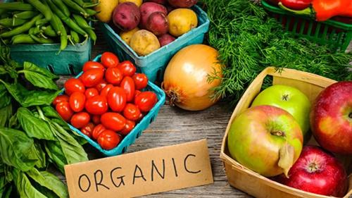 Ч.Ундрам: Органик хүнсний үйлдвэрлэл эрхлэгчдийг дэмжих шаардлагатайник хүнсний үйлдвэрлэл эрхлэгчдийг дэмжих шаардлагатай