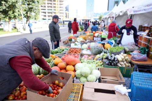 Үзэсгэлэн худалдаанд оролцож буй тариаланч, ногоочдын нэг өдрийн орлого ₮89 сая хүрч байна