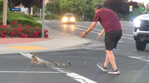 Нугаснуудыг зам гарахад нь тусалж байсан Америк залуу дайруулж нас баржээ