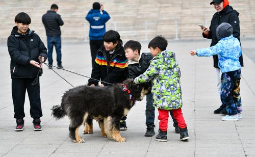 "Миний бяцхан найзуудын баяр" боллоо