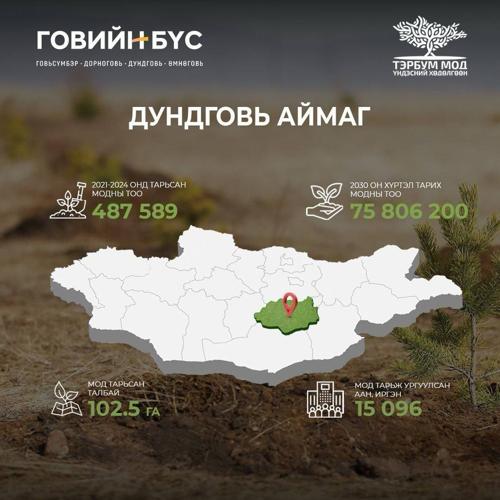 Говьчууд 200 сая мод тарина