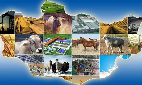 Өчигдрийн орсон борооноор 1065 тонн ус соруулжээ