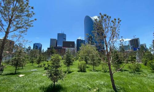 Ногоон байгууламжийн арчилгаа хийх аж ахуйн нэгжүүдтэй анх удаа гурван жилийн гэрээ байгууллаа