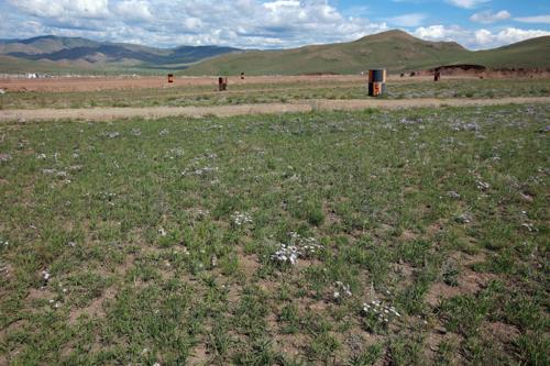 Нарангийн энгэрийн төвлөрсөн хогийн цэгт 27 га талбайд нөхөн сэргээлт хийгээд байна