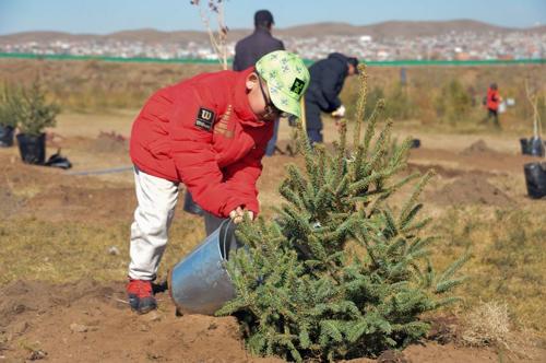 Нийслэлийн найман байршилд мод тарина