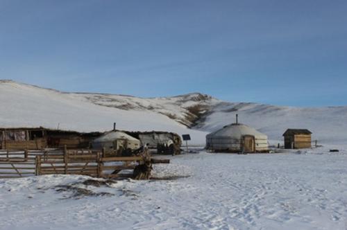 Монгол Улсын 3,4 сая хүн 941 мянган өрх гэр бүлд хуваагдан амьдарч байна