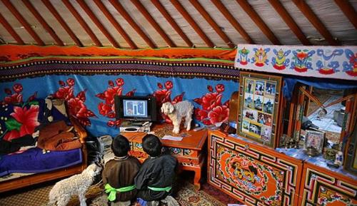 Монголд 10 болон түүнээс дээш ам бүлтэй 7974 өрх амьдарч байна