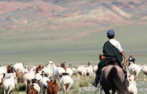 Арван гурван настай хүүхэд малаа хариулж яваад сураггүй болжээ