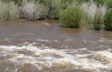 Зориулалтын бус хөвөгч хэрэгсэлтэйгээр голд орохгүй байхыг сэрэмжлүүллээ