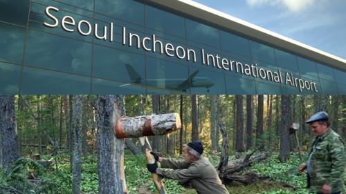 Ц.Туваан: Төрийн албан хаагчид ажлаасаа чөлөө авч самарт эсвэл Солонгос руу явж байна