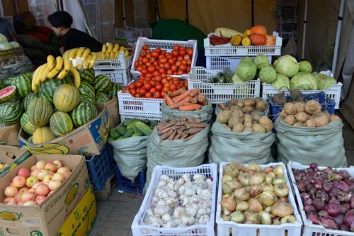 “Алтан намар-2025” төмс хүнсний ногооны өргөтгөсөн худалдаа гарч эхэллээ