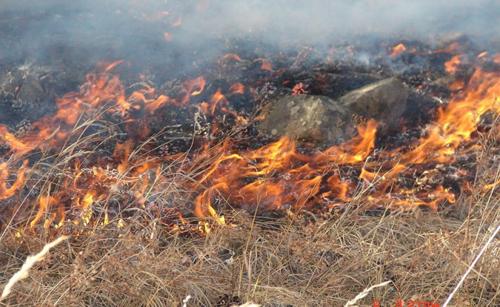 Баянзүрх дүүрэгт гарсан гэрийн галд хоёр том хүн, гурван хүүхэд өртөж амиа алдлаа