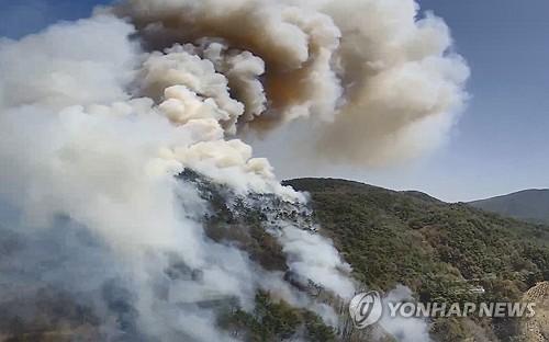 Солонгост дахин ойн түймэр гарчээ