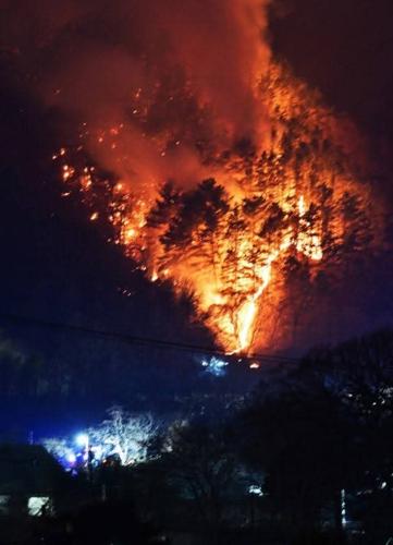 БНСУ:Түймэр тавьсан иргэнийг 3 жил хорино