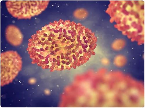 Европт сармагчны цэцгийн улмаас хоёр хүн нас баржээ