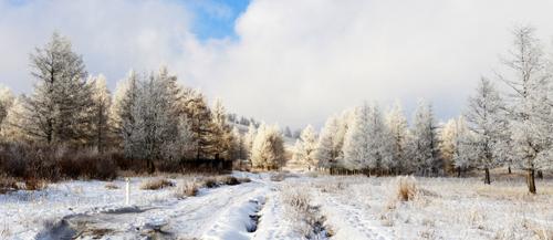 Хүйтэн өдөр 37 хоногоор багасна